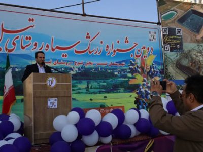 جشنواره زرشک سیاه تیل؛ فرصتی برای توسعه کشاورزی و اشتغال در روستای تیل