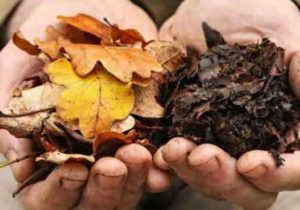 تولید و مصرف کمپوست؛ راهکار اصلی افزایش حاصلخیزی و بهرهوری مزارع و باغات استان