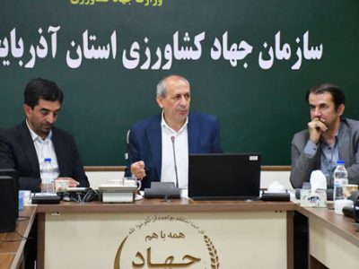 کشاورزی آذربایجانشرقی در مسیر سرمایهگذاری؛ خرید گندم از مرز ۳۳۰ هزار تن گذشت