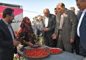 تبریز میزبان طعمهای اصیل ارسباران ؛ نخستین جشنواره استانی «زغالاخته و سماق» در تبریز افتتاح شد