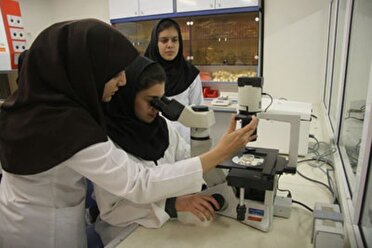 فعالیت ۲۰ دانش بنیان در دانشگاه علوم پزشکی تبریز