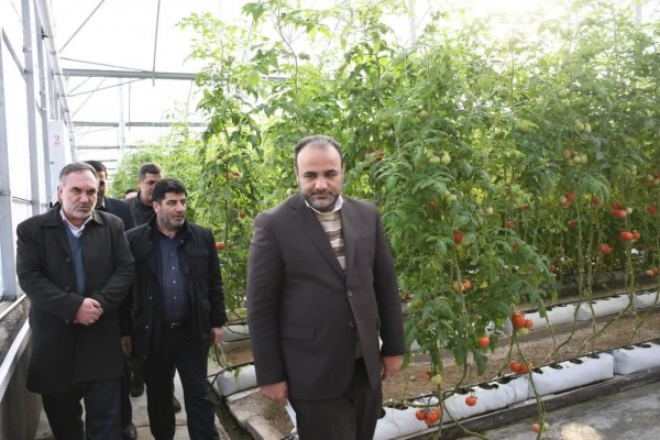 شهرک گلخانه ای عجب شیر به زودی به بهره برداری کامل می رسد