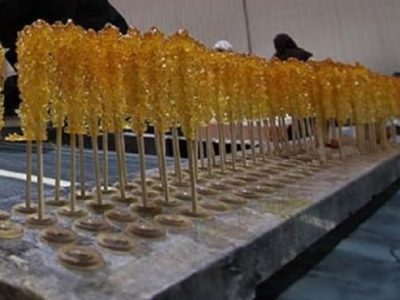 توقف فعالیت واحد تولید غیرمجاز نبات زعفرانی در تبریز