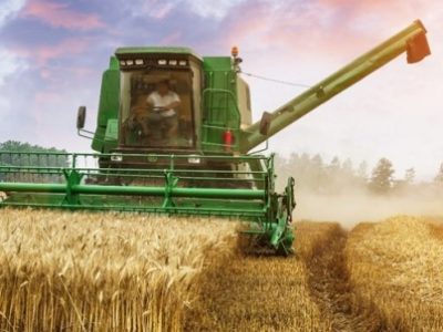 خرید ۵۸ هزار تن گندم در آذربایجان شرقی