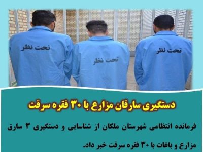 دستگیری سارقان مزارع با ۳۰ فقره سرقت