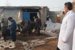 انجام ۵۵۰ هزار خدمت رایگان دامپزشکی در ۱۸۳روستای استان آذربایجان شرقی