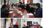 برنامه‌ریزی برای آغاز احداث ۳ هزار واحد جدید نهضت ملی مسکن در شهر جدید سهند