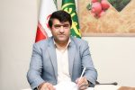 عرضه کالاهای اساسی و میوه شب عید در هشترود