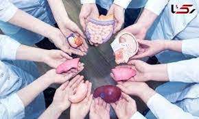 روزی که انسان شرمنده اعضای بدنش می شود/ فرهنگ ایثار در حال کمرنگ شدن