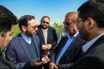 استاندار آذربایجان شرقی بر تغییر الگوی کشت به سمت محصولات کم‌آب‌بر تاکید کرد