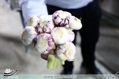 گزارش تصویری از ششمین همایش سیرتیمورلو قراغیل آذرشهر پایتخت سیرایران باهمکاری سازمان جهاد کشاورزی آذربایجان شرقی