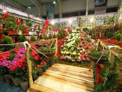 نمایشگاه‌ گل و گیاه و تجهیزات گلخانه‌ای در تبریز گشایش یافت