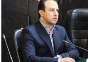 توسعه شهرهای کوچک با مشارکت های مردمی محمد میرعرب دکترای مدیریت