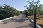 پارک جنگلی ۹۰ هکتاری ارم؛ ظرفیت گردشگری شمالغرب تبریز