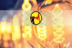 افتتاح بیش از ۲ هزار پروژه برق در تبریز