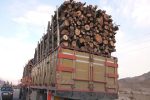 برخورد دادستانی مرکز آذربایجان شرقی با قاچاقچیان چوب