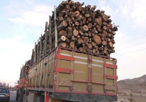 برخورد دادستانی مرکز آذربایجان شرقی با قاچاقچیان چوب