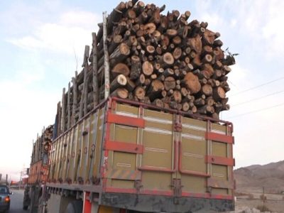 برخورد دادستانی مرکز آذربایجان شرقی با قاچاقچیان چوب