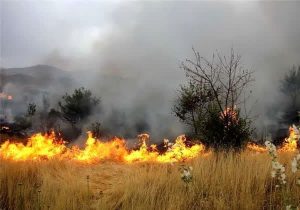 کشاورزان از آتش زدن بقایای محصولات در مزارع خودداری کنند.