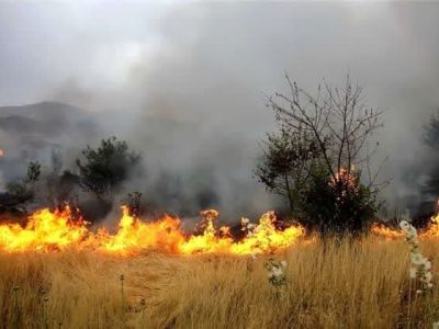 کشاورزان از آتش زدن بقایای محصولات در مزارع خودداری کنند.