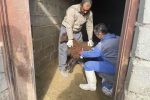 برگزاری رزمایش جهادگران فاطمی ۴ اداره دامپزشکی و سپاه ناحیه شهرستان هشترود