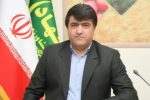 مدیر جهاد کشاورزی خبر داد ؛ تولید ۱۸۰ هزار تن گندم برای اولین بار در هشترود