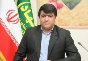 مدیر جهاد کشاورزی خبر داد ؛ تولید ۱۸۰ هزار تن گندم برای اولین بار در هشترود