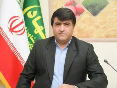 مدیر جهاد کشاورزی خبر داد ؛ تولید ۱۸۰ هزار تن گندم برای اولین بار در هشترود