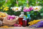 سطح زیر کشت گیاهان دارویی در آذربایجان شرقی به ۱۰ هزار هکتار افزایش می یابد