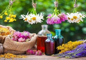 سطح زیر کشت گیاهان دارویی در آذربایجان شرقی به ۱۰ هزار هکتار افزایش می یابد