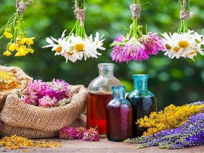 سطح زیر کشت گیاهان دارویی در آذربایجان شرقی به ۱۰ هزار هکتار افزایش می یابد
