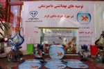 توصیه‌های دامپزشکی آذربایجان شرقی درباره خرید و نگهداری ماهی قرمز