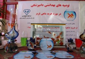 توصیه‌های دامپزشکی آذربایجان شرقی درباره خرید و نگهداری ماهی قرمز