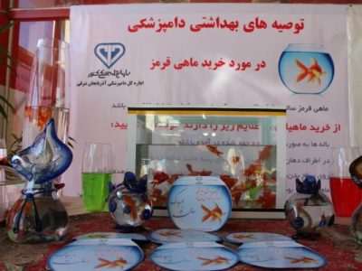 توصیه‌های دامپزشکی آذربایجان شرقی درباره خرید و نگهداری ماهی قرمز