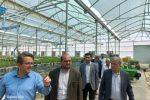 راه اندازی ایستگاه جدید گاز در شهرک صنعتی بعثت وارد مراحل نهایی شد