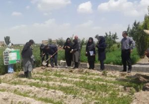 احداث باغ الگویی گیاهان دارویی در تبریز با هدف توسعه کشت گیاهان کم‌آب‌بر
