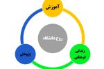 دانشگاه و شهر چه نسبتی باهم دارند؟