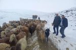 امدادرسانی به عشایر گرفتار شده آذربایجان شرقی در اثر برف و کولاک