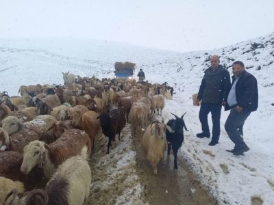 امدادرسانی به عشایر گرفتار شده آذربایجان شرقی در اثر برف و کولاک