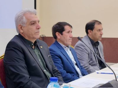 بهرهوری در صنعت برق نیازمند مشارکت همه شرکتهای توزیع است