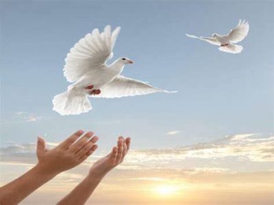 جوان ۳۹ ساله گوگانی برای چهارمین بار پیاپی به یاری زندانیان غیرعمد شتافت