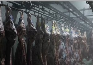 اتمام بازسازی سردخانههای کشتارگاه صنعتی تبریز