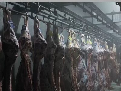 اتمام بازسازی سردخانههای کشتارگاه صنعتی تبریز