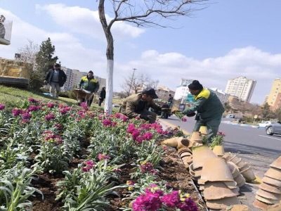 کاشت ۹ میلیون نشا گل در قالب طرح استقبال از بهار در فضاهای سبز تبریز