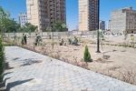نامگذاری پارک گلکار به نام «حلما» دختر ایران