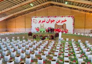 اهدای ۱۰ هزار بسته به خانواده های نیازمند توسط موسسه خیرین جوان تبریز