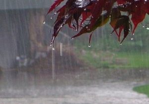 افزایش ۱۳۷ درصدی بارش ها در آذربایجان‌شرقی