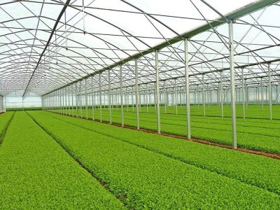 تخصیص و تامین سوخت ذخیره اضطراری برای واحدهای گلخانهای شهرستان مرند