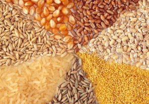 کشف بیش از چهار تن نهاده دامی قاچاق در مراغه