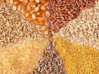 کشف بیش از چهار تن نهاده دامی قاچاق در مراغه